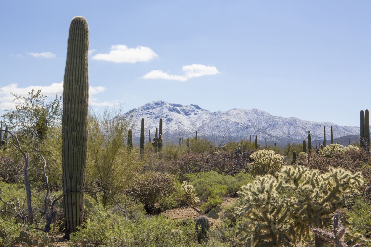 Snow on Mountains in AZ