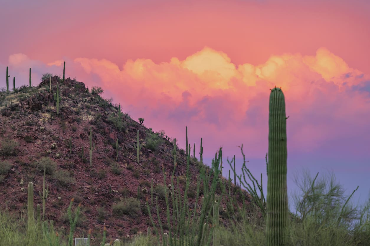 Pink Sunset Tucson